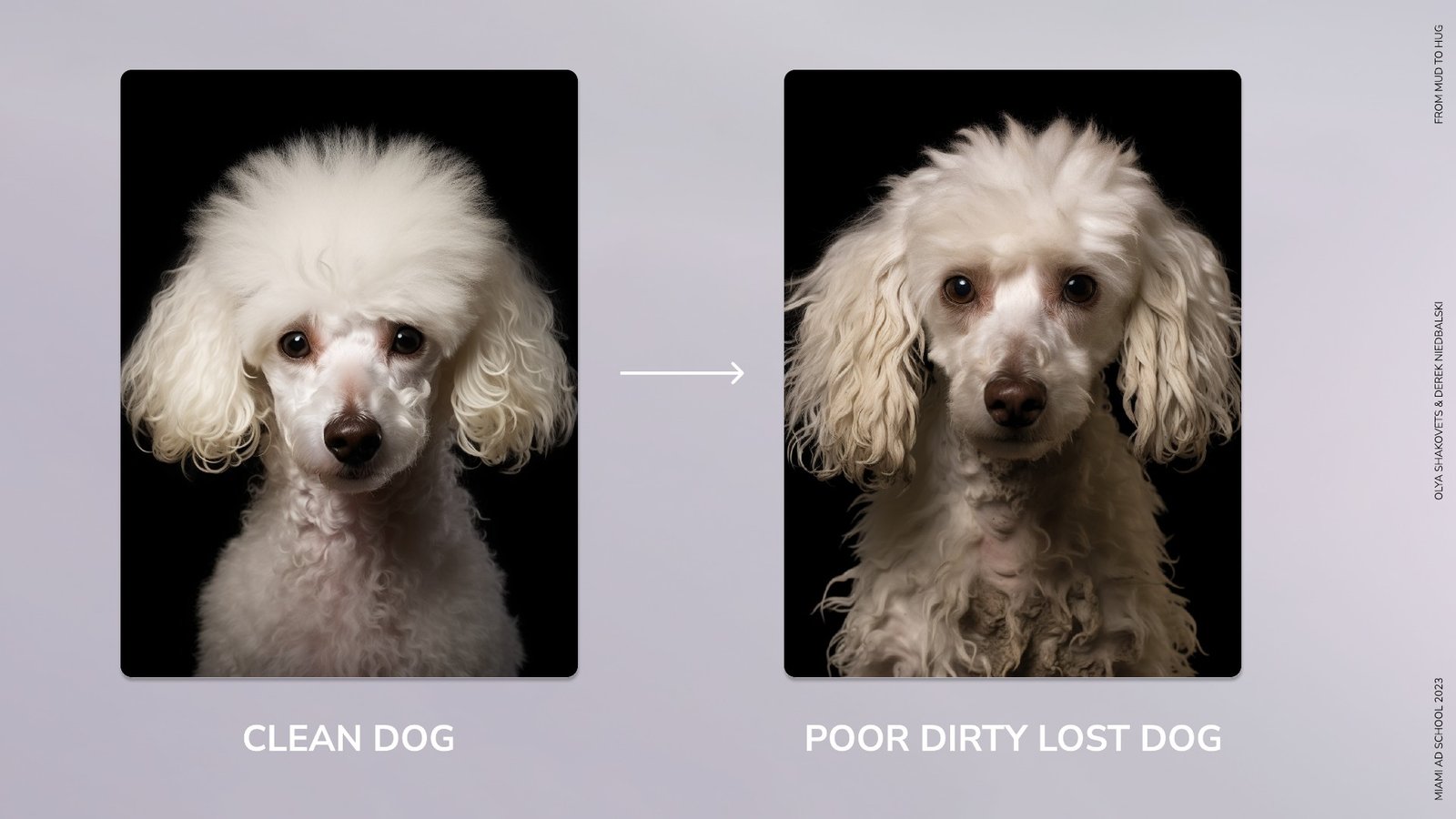 From Mud to Hug — Clean and muddy dog comparison