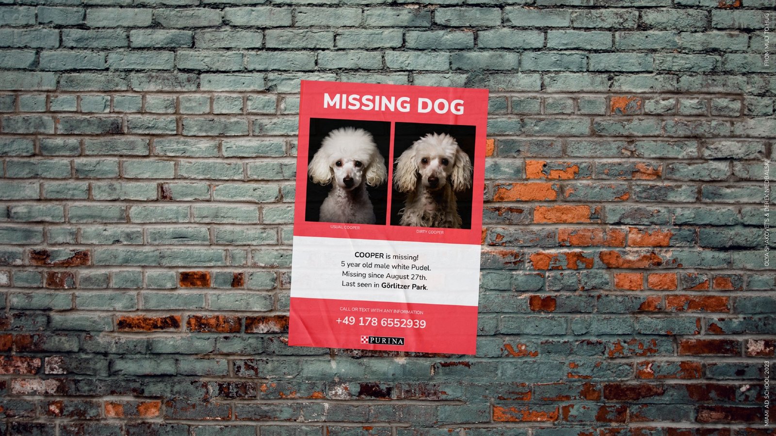 From Mud to Hug — Missing-pet poster